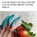 마녀손톱 - 창원시 마산회원구 | 마녀손톱