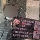 세기자동차세차장 | ✨잔 흠집 걱정 없는 노터치 자동세차 오토 스테이 고양 뉴캐슬 방문 후기 🚗✨