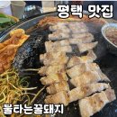 꿀돼지식당 | 평택 안중 생삼겹살 맛집 [불타는 꿀돼지] 솔직 후기