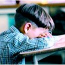 아이튼튼태권도 이미지