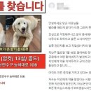 자유건강원