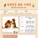 샘모루초등학교 이미지