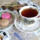 당구25클럽 이미지