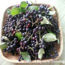 소림농장 이미지