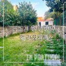 벨라민박 | 포르투 한인민박 숙소 추천 | 벨라포르투 4인실 후기