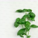 작은행복 이미지