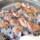 닭스타그램 이미지