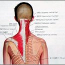 경성한의원 이미지