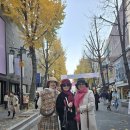 8월16일(일),아름다운 평창 대화 파크골프장 예약 44명 확정,원정여행 라운딩공지~ 이미지