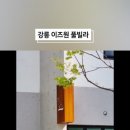 이즈풀