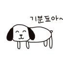 인투게코