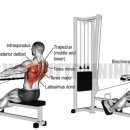 휘트니스트렌드 이미지