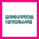세봉카서비스 | 혼자 떠나기 딱 좋은 1인 여행 코스 추천