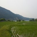 삼봉2리 이미지