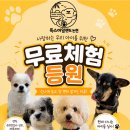 논현유치원 네이버블로그