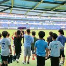 월드컵경기장 이미지