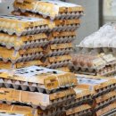 서민밥상 이미지