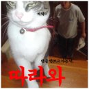 용해주유소 이미지