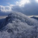 1/29 경남 거창 남덕유산(1,507m) 산행 안내 이미지