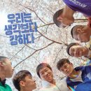 최신영화 카운트 이미지