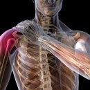 수원탑마취통증의학과의원 이미지