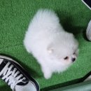 뜬다핑 이미지