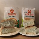 GS25 경기대서울 | GS25 서울우유빵 말차 신상 후기｜말차크림빵·카스테라 솔직 리뷰