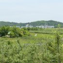 조안농장 이미지