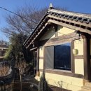 거멍곶낭 이미지