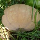 율촌농장 이미지