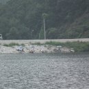 맹동낚시터 이미지