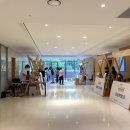 2021 사회적기업가 육성사업 사후관리 프로그램 &#39;청출창업&#39; 이야기