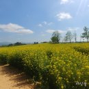 추경호 “역전세로 부동산 혼란 안돼… 보증금 반환 대출규제 완화 검토할 것” 이미지