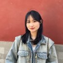 시너지플랜