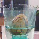 발화농장 이미지