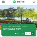 대전 한밭수목원 목련 매화 벚꽃 개화상태 꽃놀이 현황