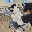 그루밍펫살롱 | 반려견스타일리스트학원 선택 가이드! 실패 없는 자격증 취득법 5가지