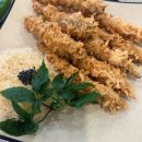 석양 속 생명의 날 이미지