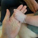 잉꼬세탁 | 임신 31주~35주 일상, 백수생활