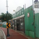 싱싱다육그린원 이미지