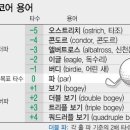 돔 스크린 골프 이미지