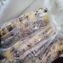 한울타리농장 | 양주 장흥계곡 반려견 동반 한울타리 예약 방문 후기