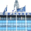 완도11호 이미지