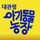 역고개농장 | 강릉 아이랑 가볼만한 곳 추천 대관령 아기동물농장에서 보낸 힐링 하루