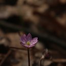 지석리 경로당 이미지