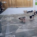 버스정류소_공천포 이미지