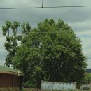 서빙고역 이미지