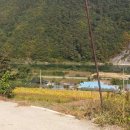 정선공인중개사사무소 이미지