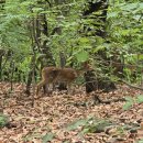 대불근린공원 이미지