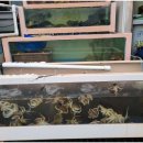 온누리수산 이미지